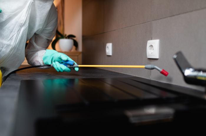 How to Choose the Right Pest Control for Your Property
