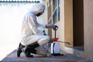Effective Pest Control Near Me for Homes and Businesses