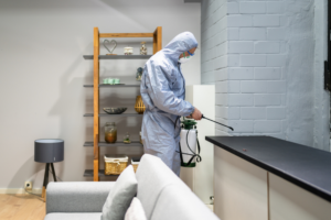 Fast and Reliable Pest Control Services in Fort Lauderdale