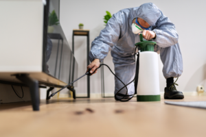 Local Pest Control Services Every Fort Lauderdale Resident Needs